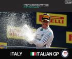 Льюис Хэмилтон празднует свою победу в Гран-при Италии 2015